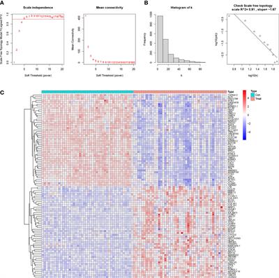 Comprehensive analysis to identify a novel diagnostic marker of lung adenocarcinoma and its immune infiltration landscape